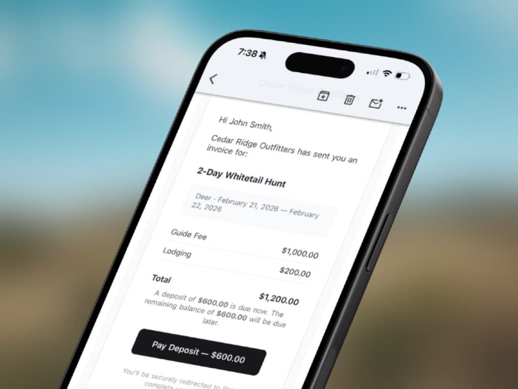 Professional invoices